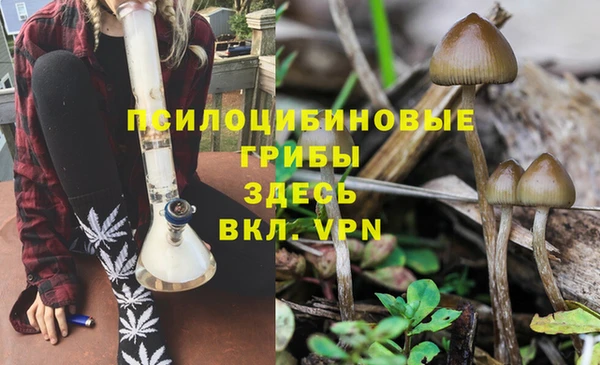 МДМА Михайловка