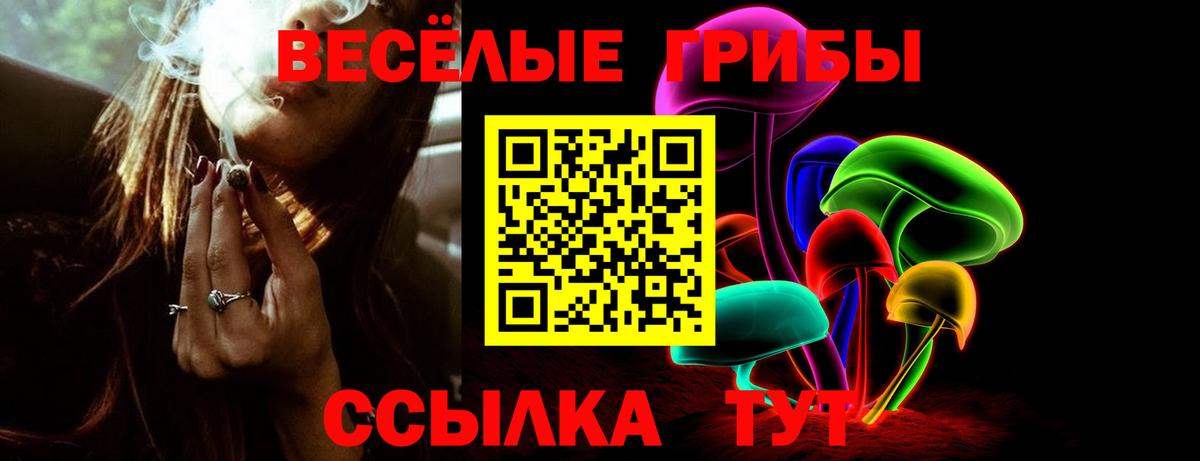 Псилоцибиновые грибы Cubensis  Псилоцибиновые грибы прущие грибы  Вход с VPN  Тихвин 