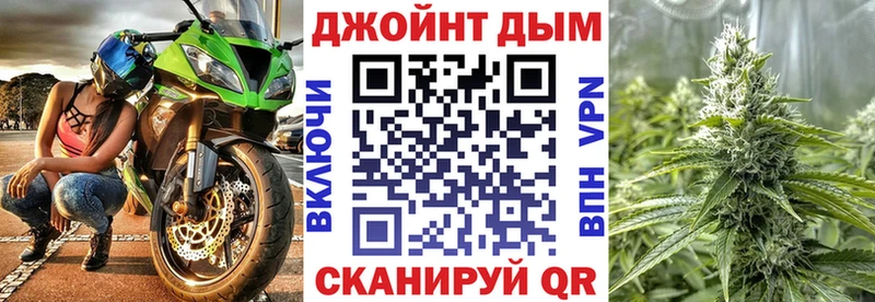 наркота  Тихвин  Каннабис сатива 